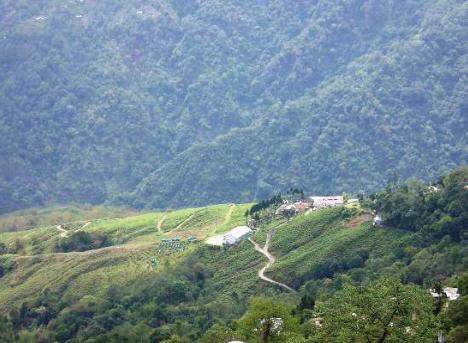 Central Nirvana Darjeeling  Buitenkant foto